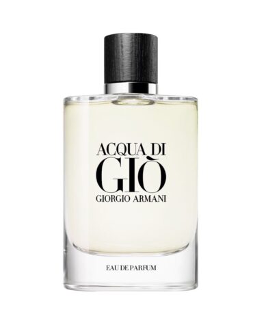 Acqua di Gio Eau de Parfum 100ML for Men